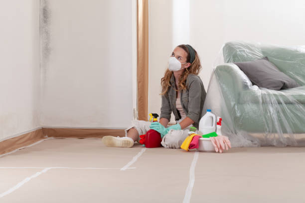 Reliable Mold Removal contractor in Laurel, MD by WQB Mold Removal